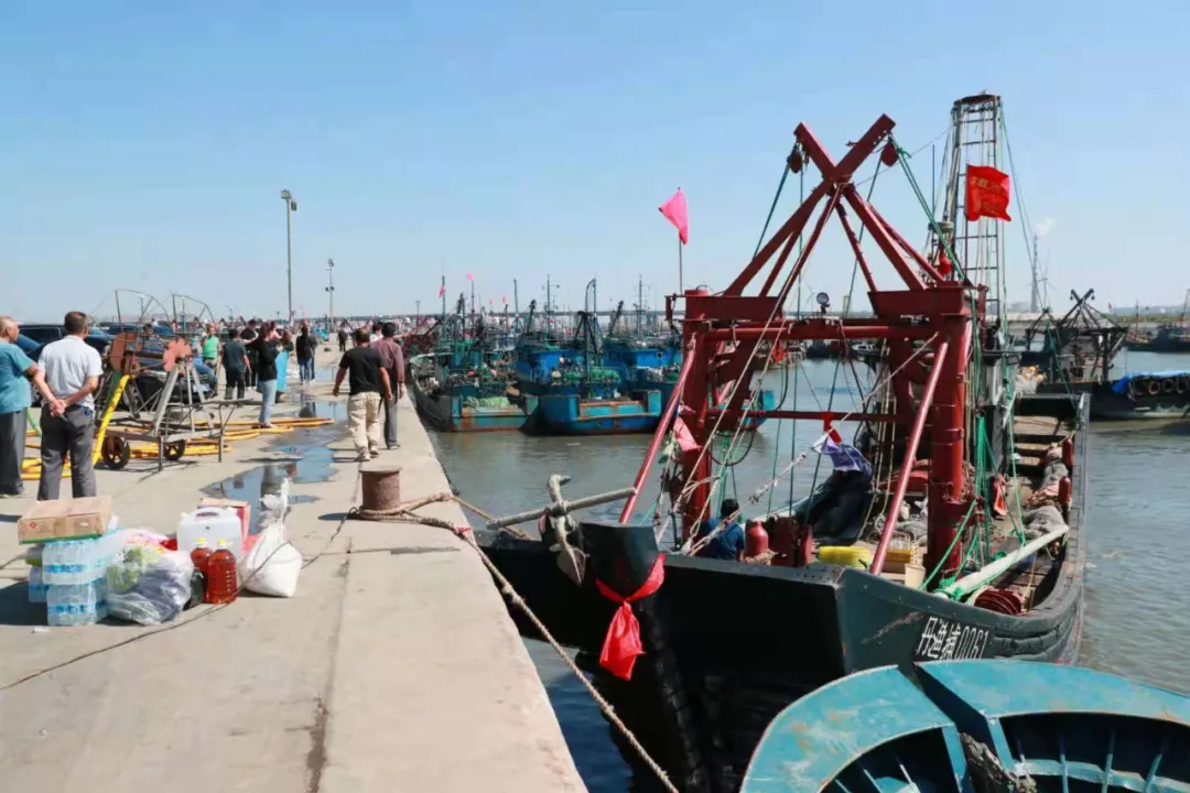 東港,開海了!海鮮批發海鮮零售請找仟貝福 東港,開海了!海鮮批發海鮮零售請找仟貝福