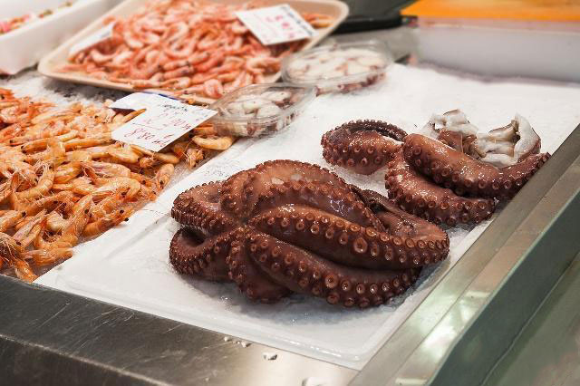 八爪魚哪個(gè)部位不能吃?網(wǎng)紅吃八爪魚為什么要爆頭? 八爪魚哪個(gè)部位不能吃?網(wǎng)紅吃八爪魚為什么要爆頭?